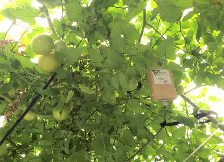 来自客户的评价图片1