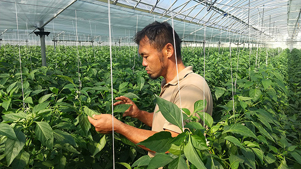 顾客面临的课题图片1