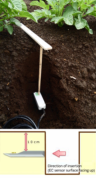 Image of Direction of insertion (EC sensor surface facing up)