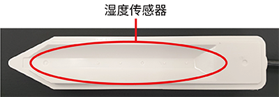 Back side view图片