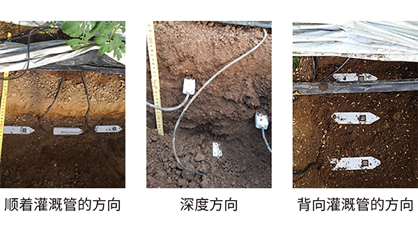 可根据配置对土壤状态进行三维分布测定图片2