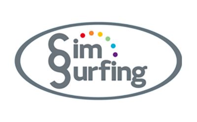 SimSurfing图片1